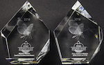 Altair Award 2016