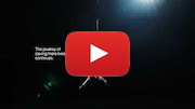 Video of the Month